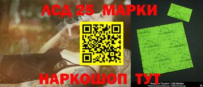 гашик Донской
