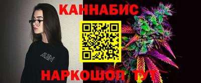 гашик Донской