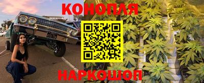 гашик Донской